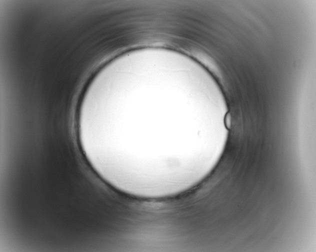 X0000088151088200706042024