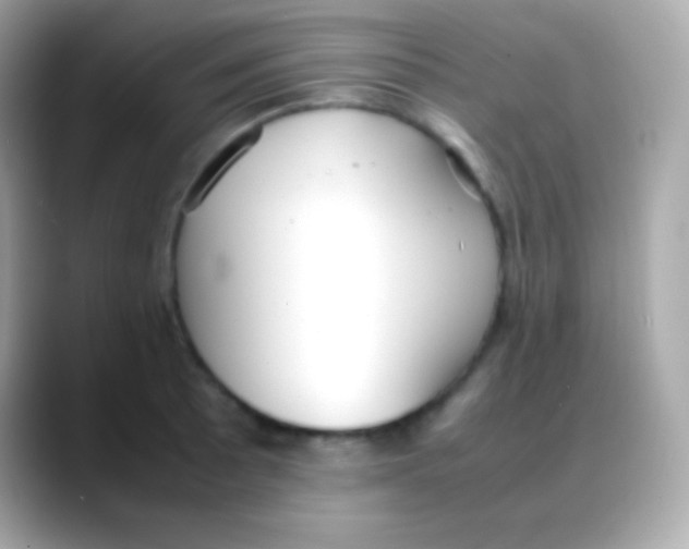 X0000088151089200706042024