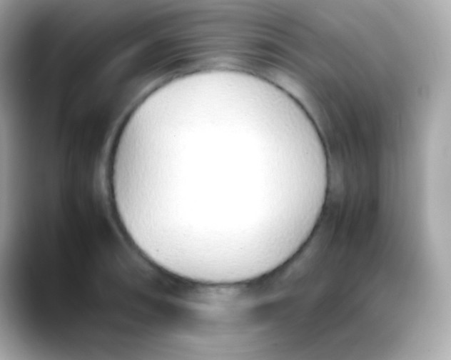 X0000088151090200706042024