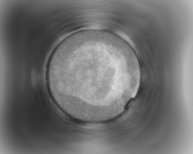 X0000088151091200706042024