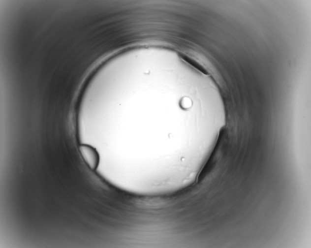 X0000088151092200706042024