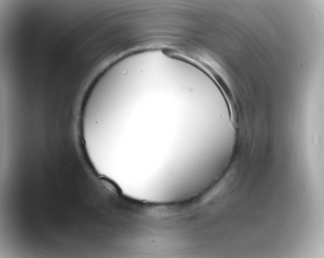 X0000088151093200706042024