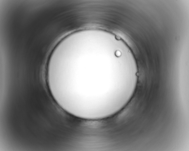 X0000088151094200706042024