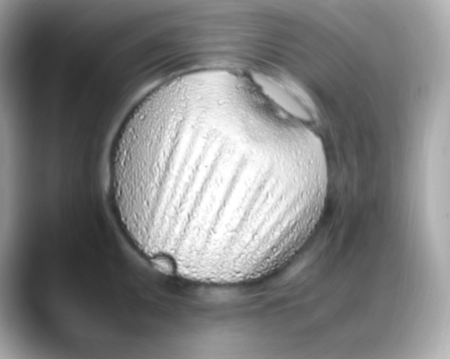 X0000088151095200706042024