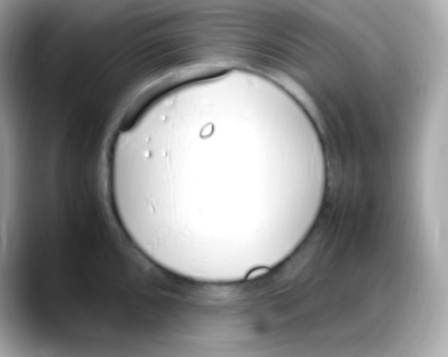 X0000088151096200706042024