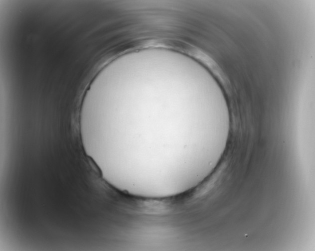 X0000088151097200706042024