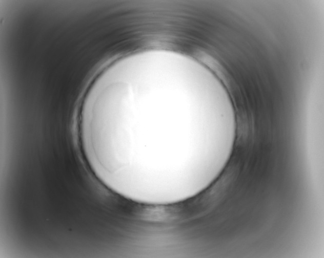 X0000088151098200706042024