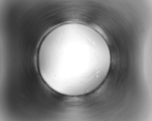 X0000088151100200706042024