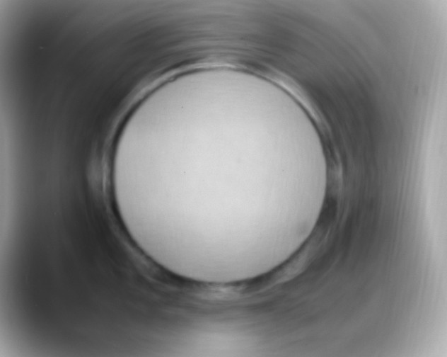 X0000088151101200706042024