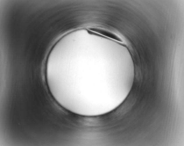 X0000088151102200706042024