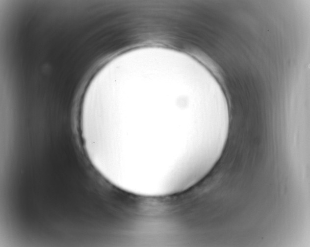 X0000088151104200706042024