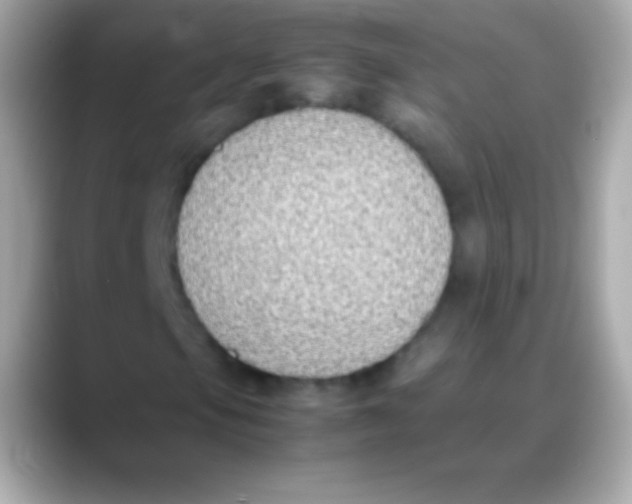 X0000088151105200706042023