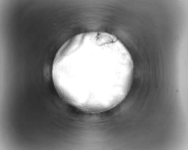 X0000088151106200706042023