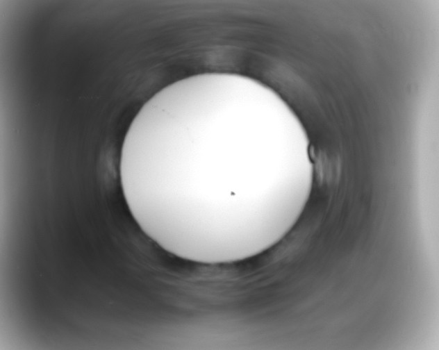 X0000088151107200706042023