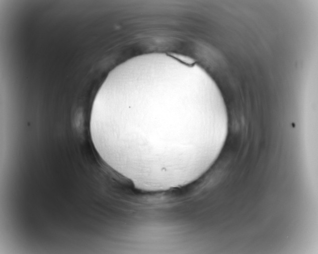 X0000088151108200706042023