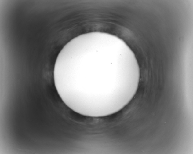 X0000088151109200706042023