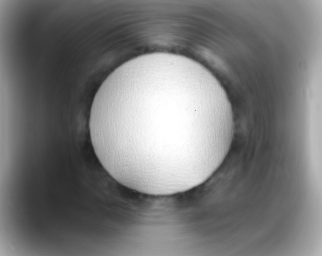 X0000088151110200706042023