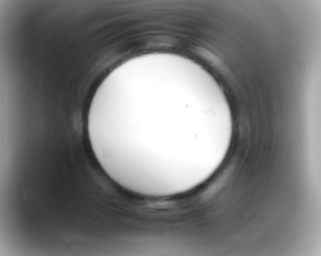 X0000088151113200706042023