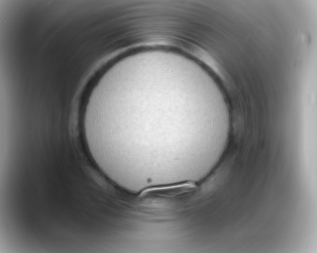 X0000088151116200706042023