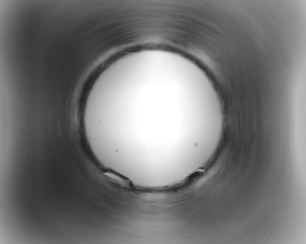 X0000088151118200706042023