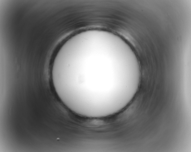 X0000088151119200706042023