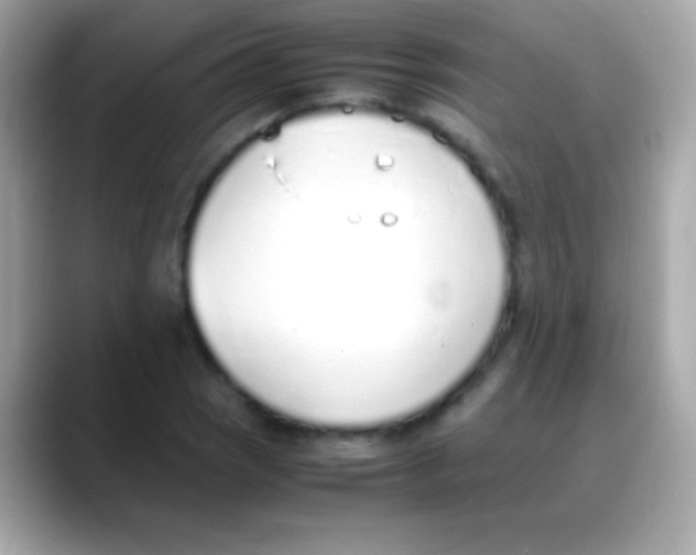 X0000088151121200706042023