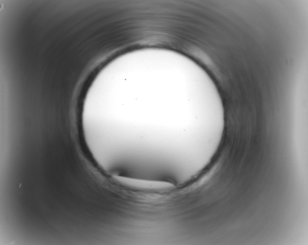 X0000088151122200706042023