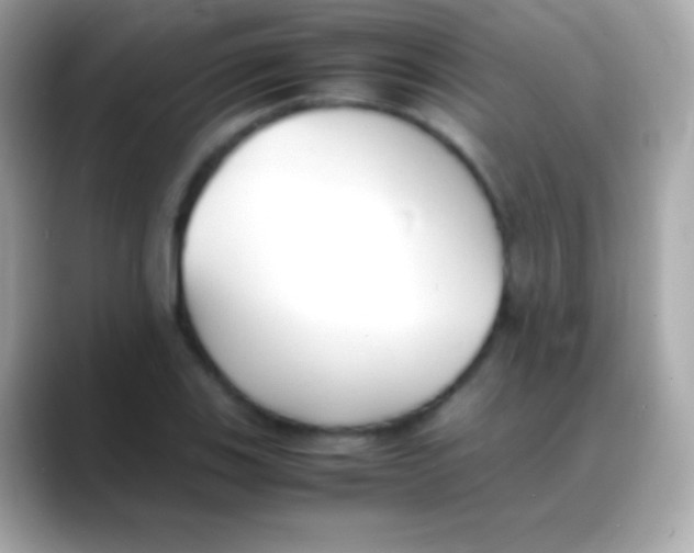 X0000088151123200706042023