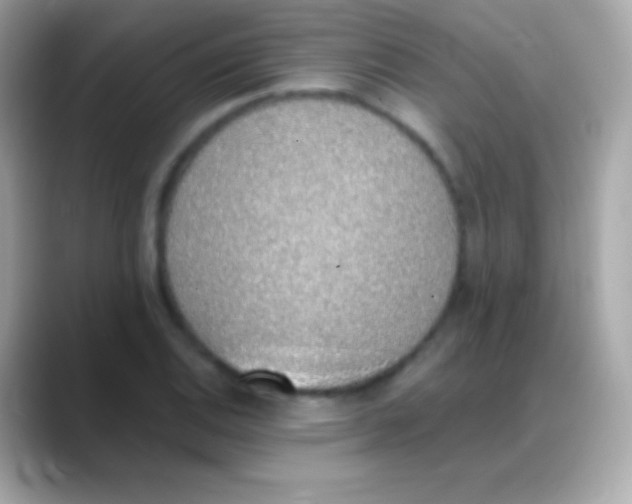 X0000088151124200706042023