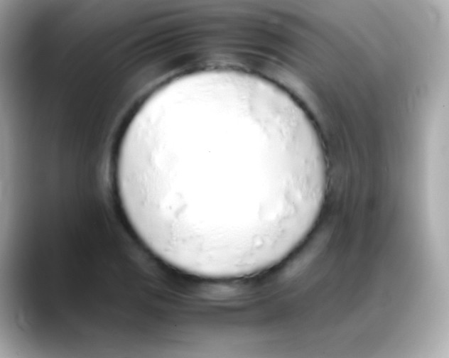 X0000088151125200706042023