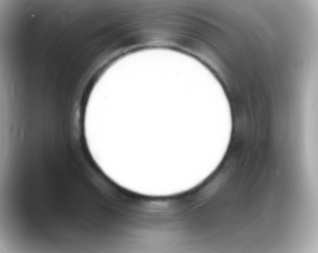 X0000088151126200706042023