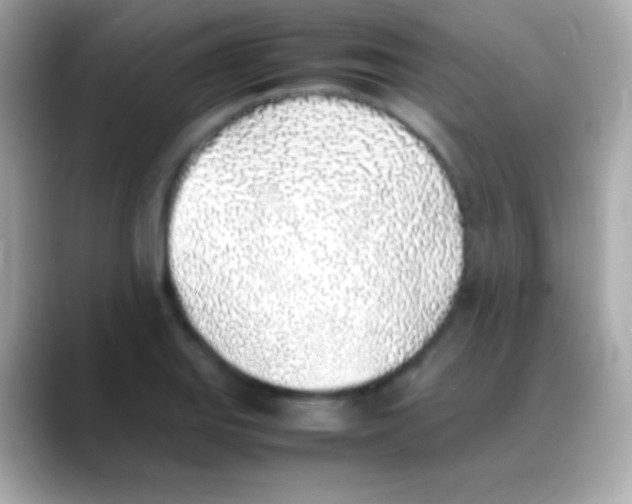 X0000088151127200706042024