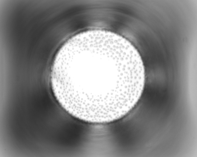 X0000088151130200706042024