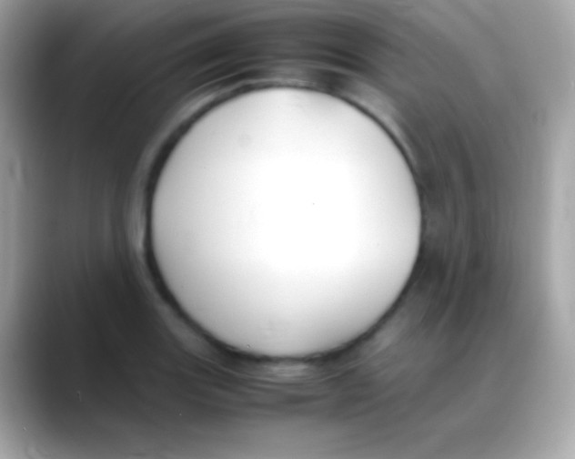 X0000088151131200706042024