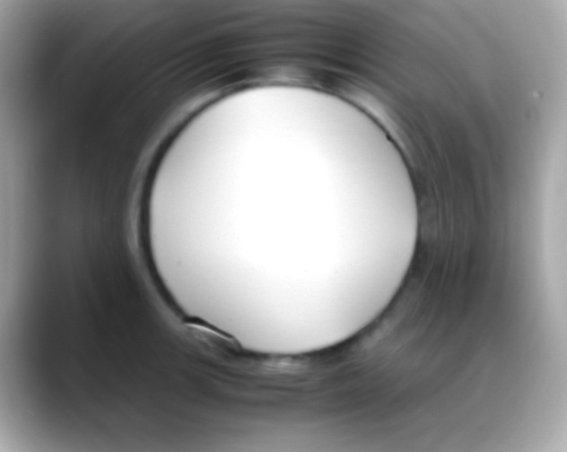 X0000088151139200706042024