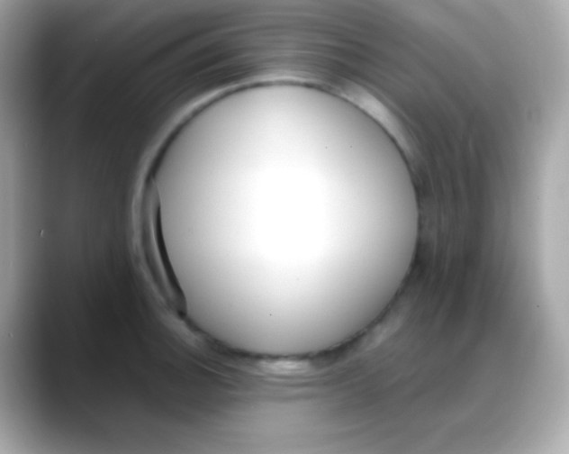 X0000088151140200706042024