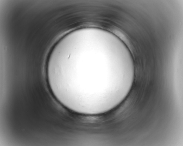 X0000088151141200706042024