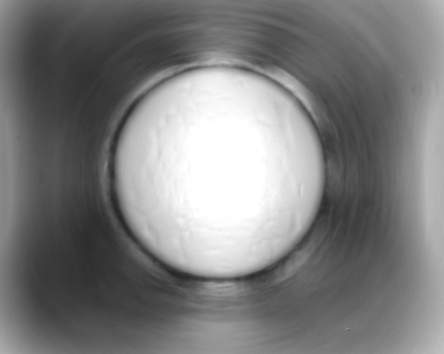 X0000088151142200706042024