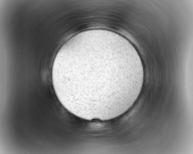 X0000088151145200706042024