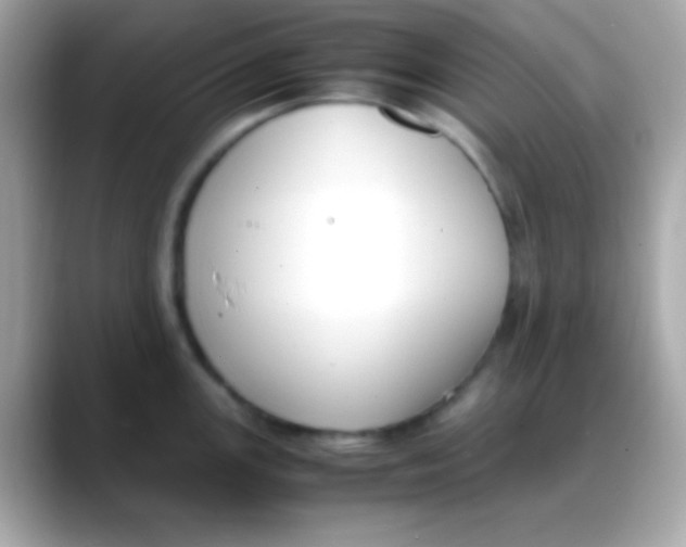 X0000088151147200706042024