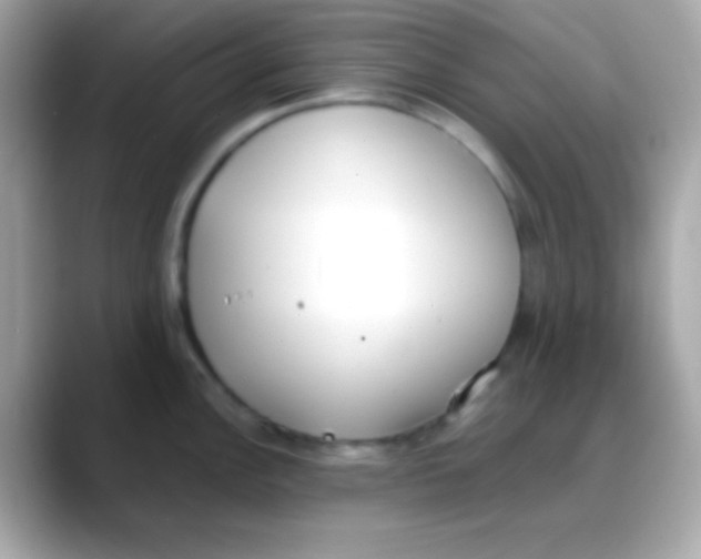 X0000088151148200706042024