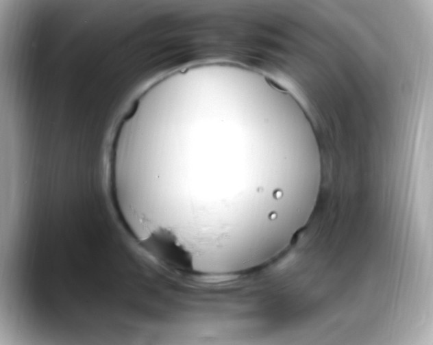 X0000088151151200706042024