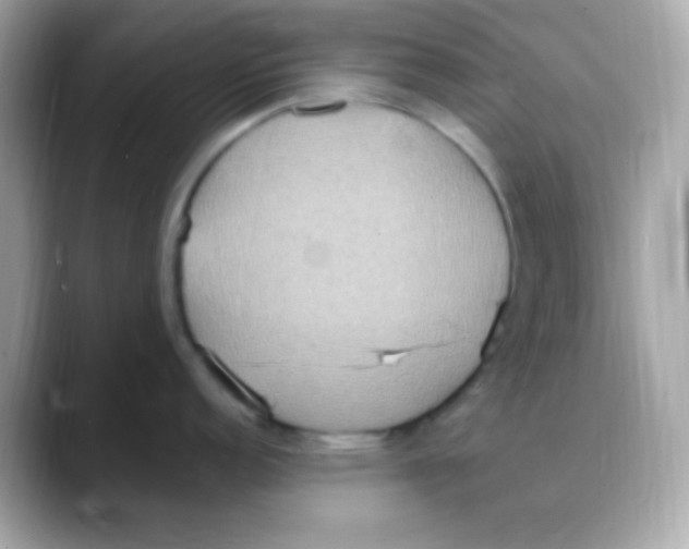 X0000088151152200706042024