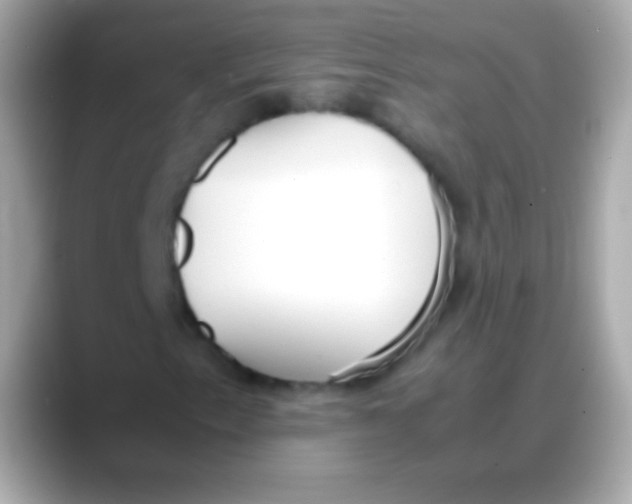 X0000088151153200706042023