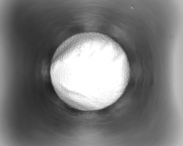 X0000088151154200706042023