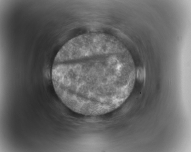 X0000088151155200706042023