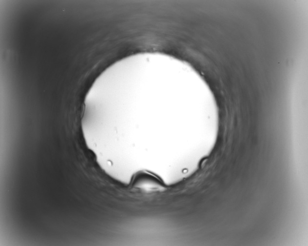 X0000088151157200706042023