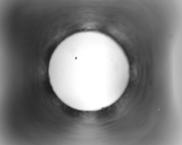 X0000088151158200706042023