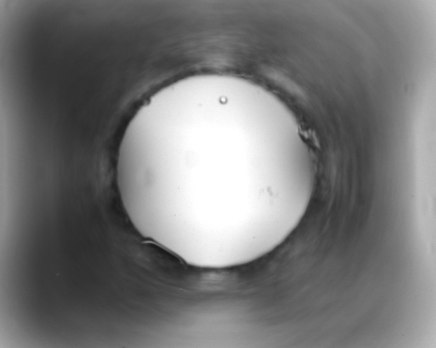 X0000088151160200706042023