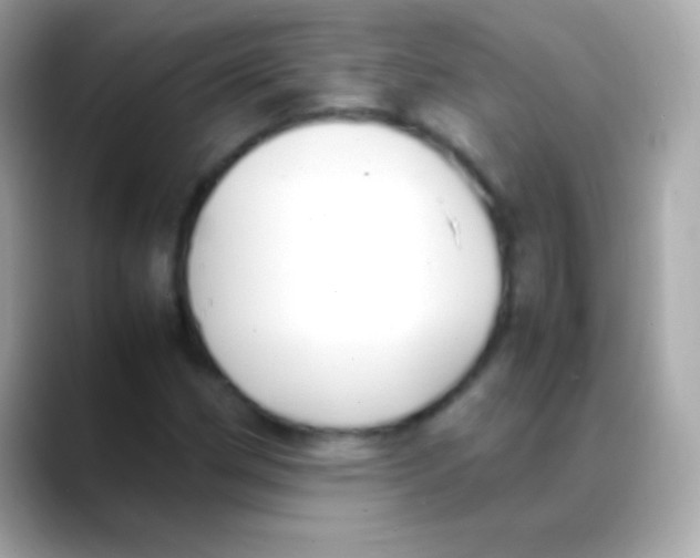 X0000088151162200706042023